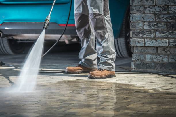 Best Gutter Cleaning  in Audubon, NJ
